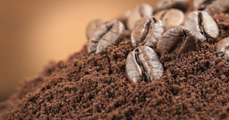 Coffee Grounds