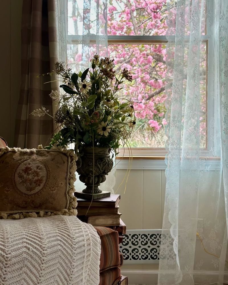 Lace Curtain Windows
