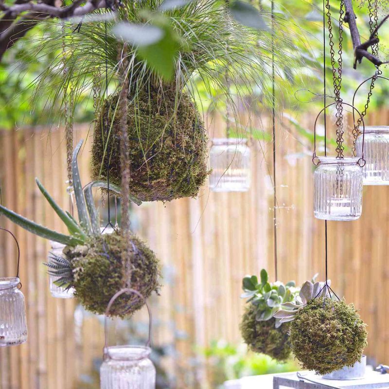 Hanging Succulent Sphere