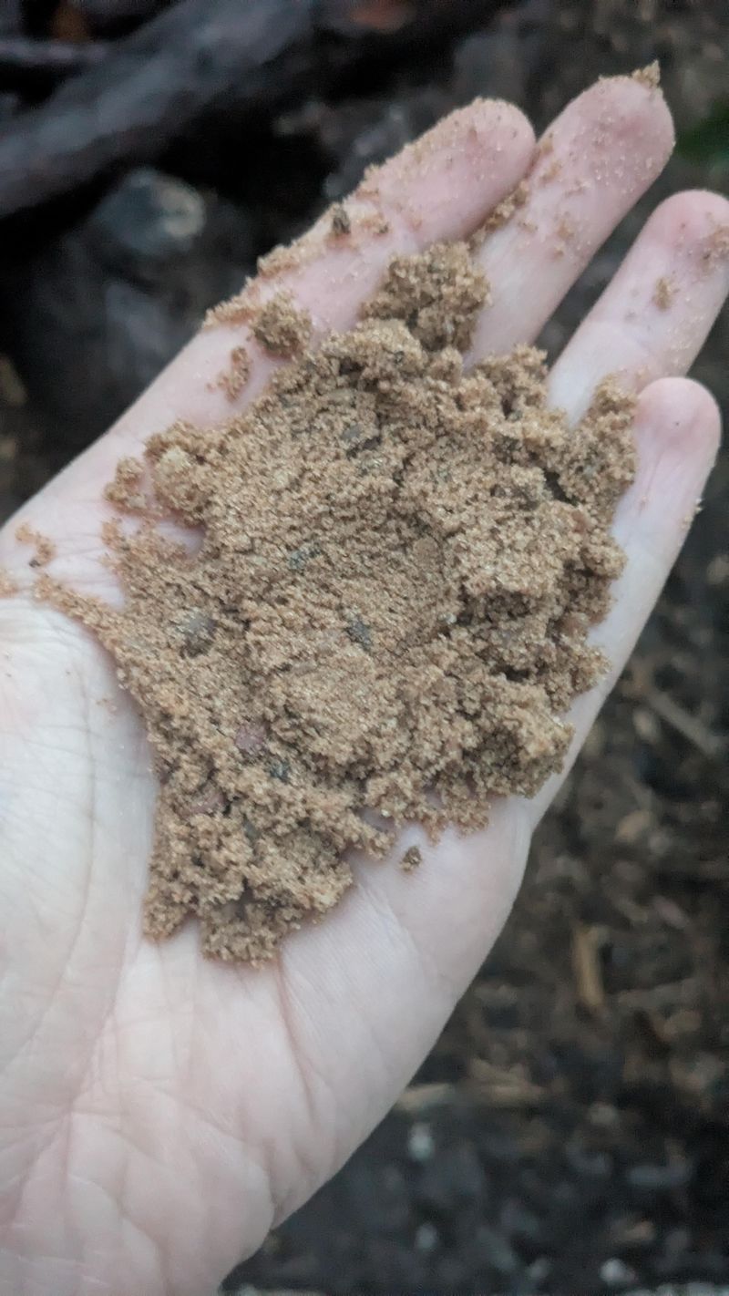 Fine Sand