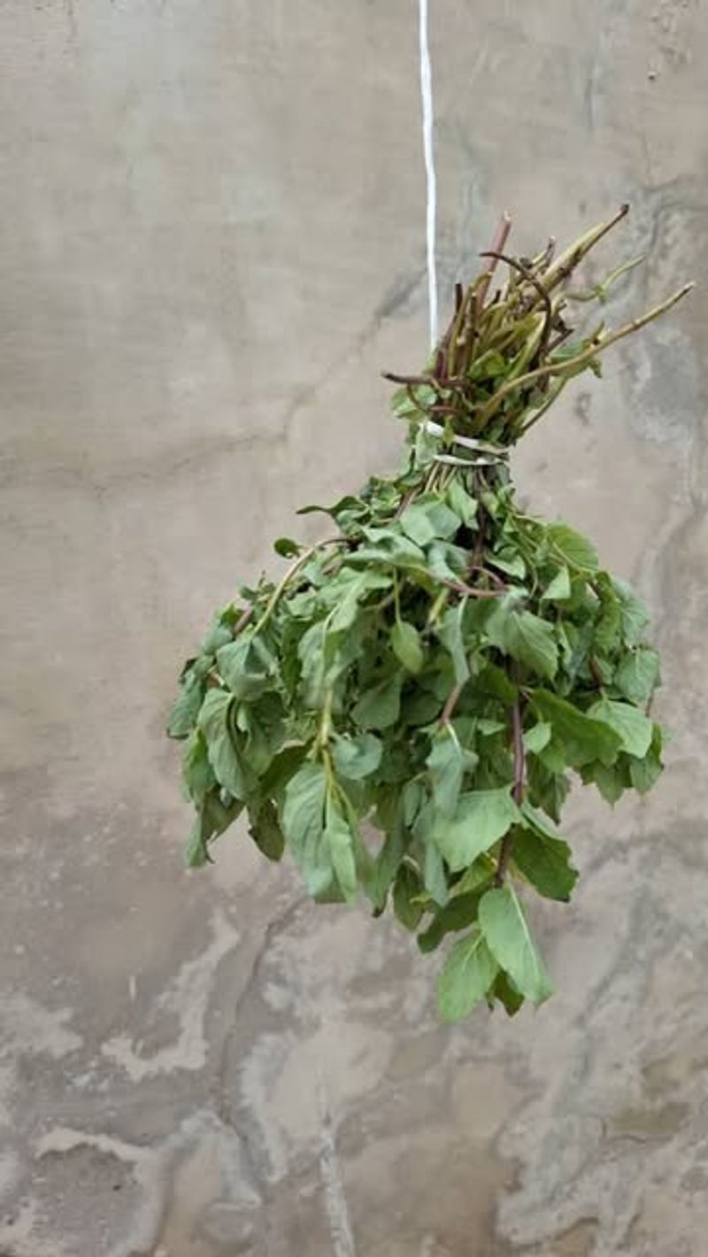 Bundle With Breathing Room