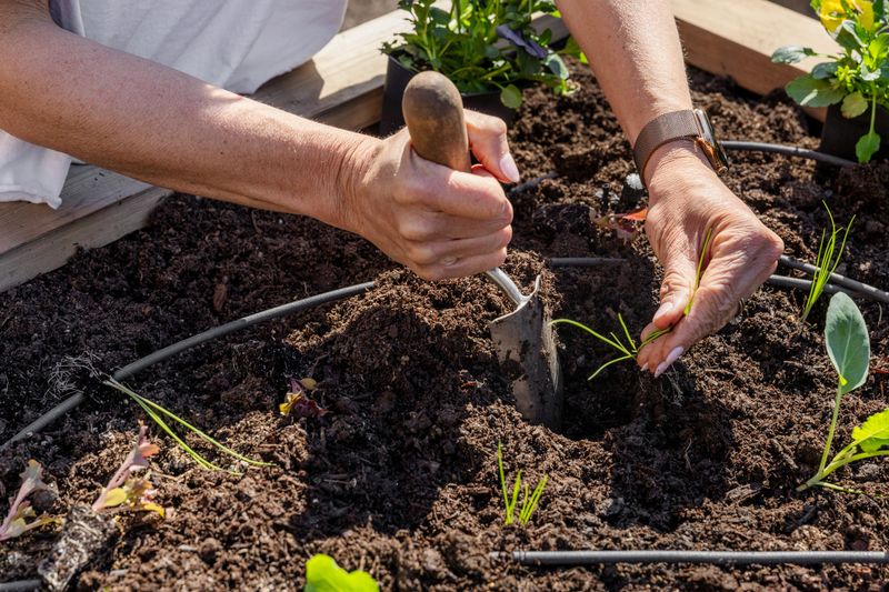 Soil Compaction Issues