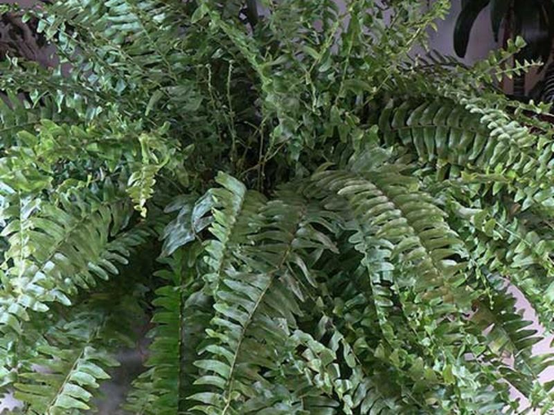 Adjust Watering By Season