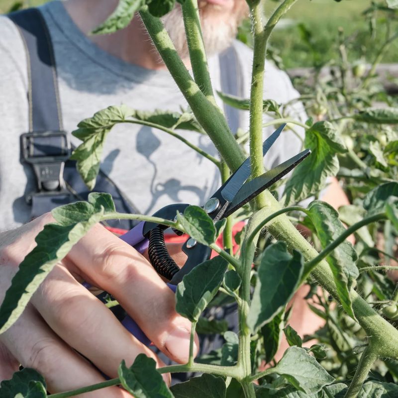 Prune For Productivity