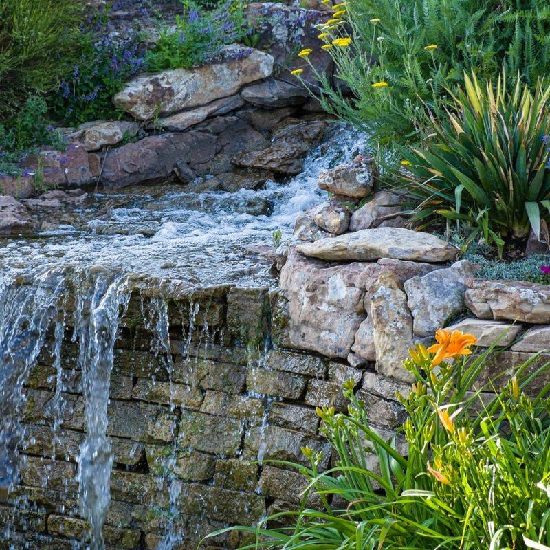 Choose Native Plants