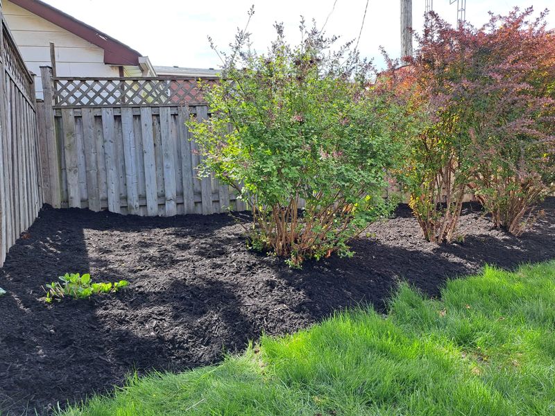 Add Mulch to Retain Moisture