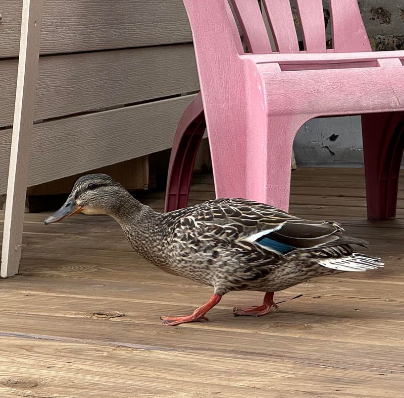Ignoring Neighborhood Relations