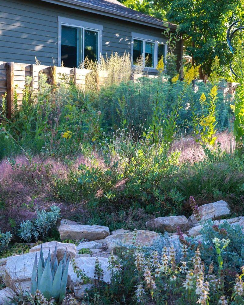 Non-Native Plant Obsessions