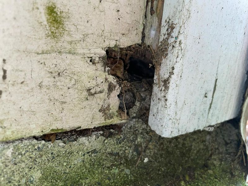 Gaps in Home Foundation