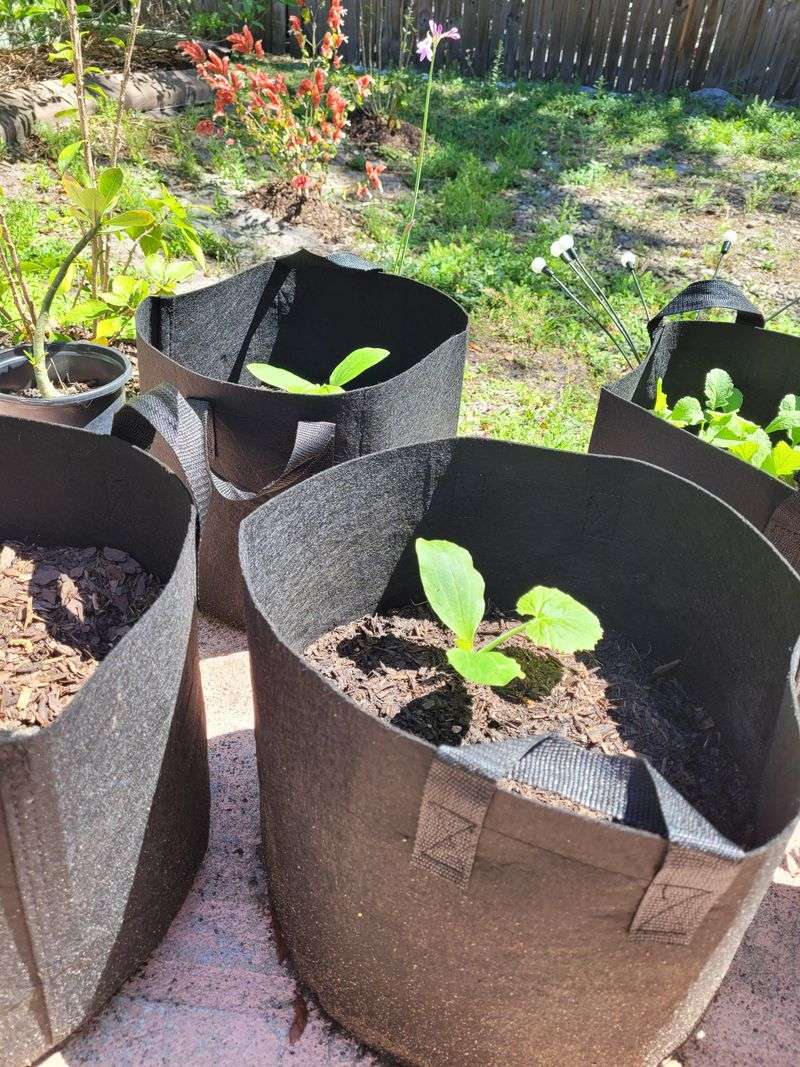 Mulching Benefits
