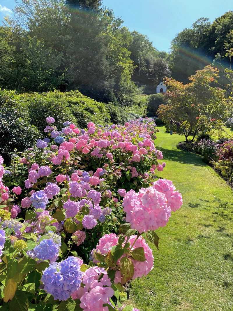 Humidity Zones Create Microclimate Benefits