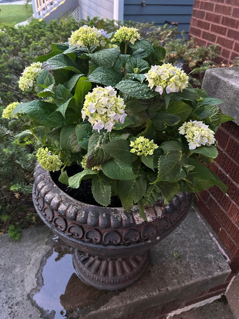 Organic Soil Amendments Boost Water Retention