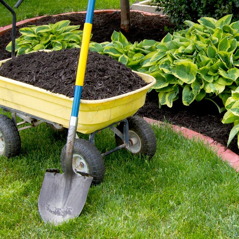 Forgetting To Mulch