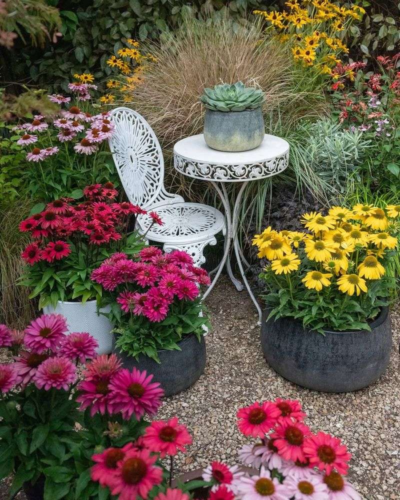 Cramped Container Gardens