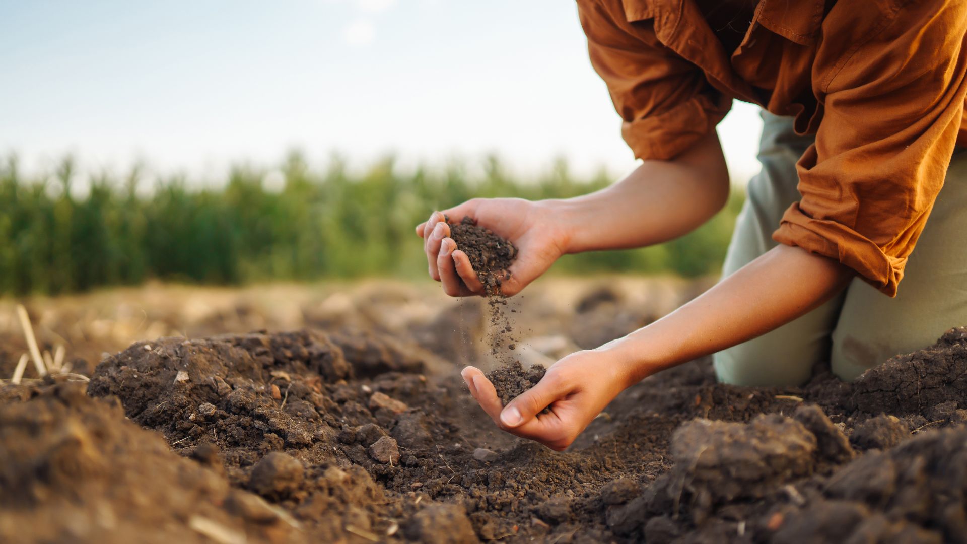 soil structure