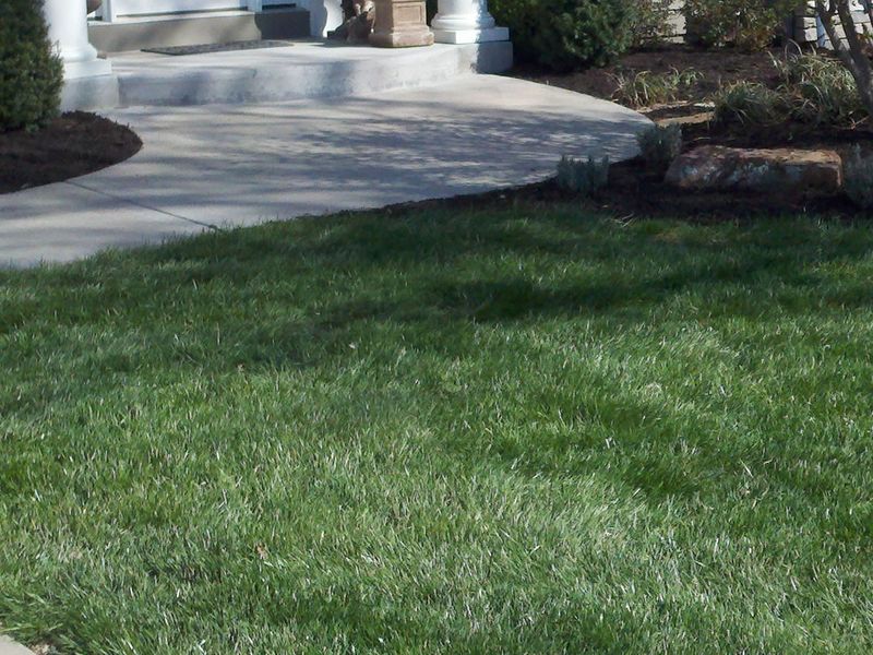 Grass Variety Selection
