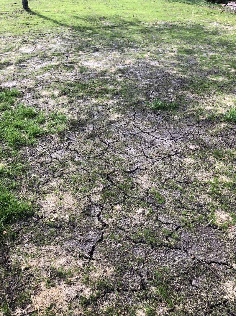 Soil Compaction Test