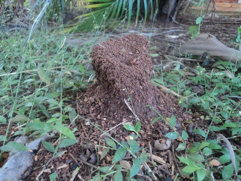 Soil Chemistry Improvers