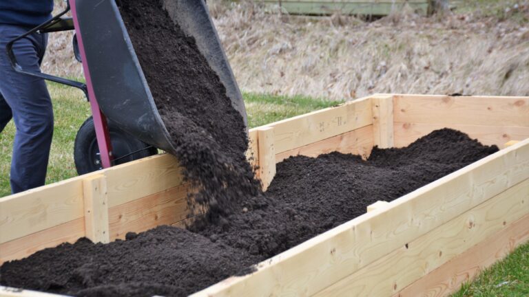 filling a raised bed