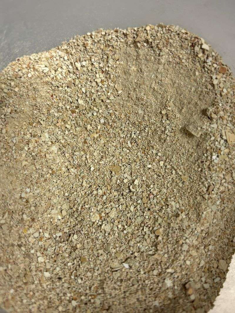 Calcium Boost For Strong Plants