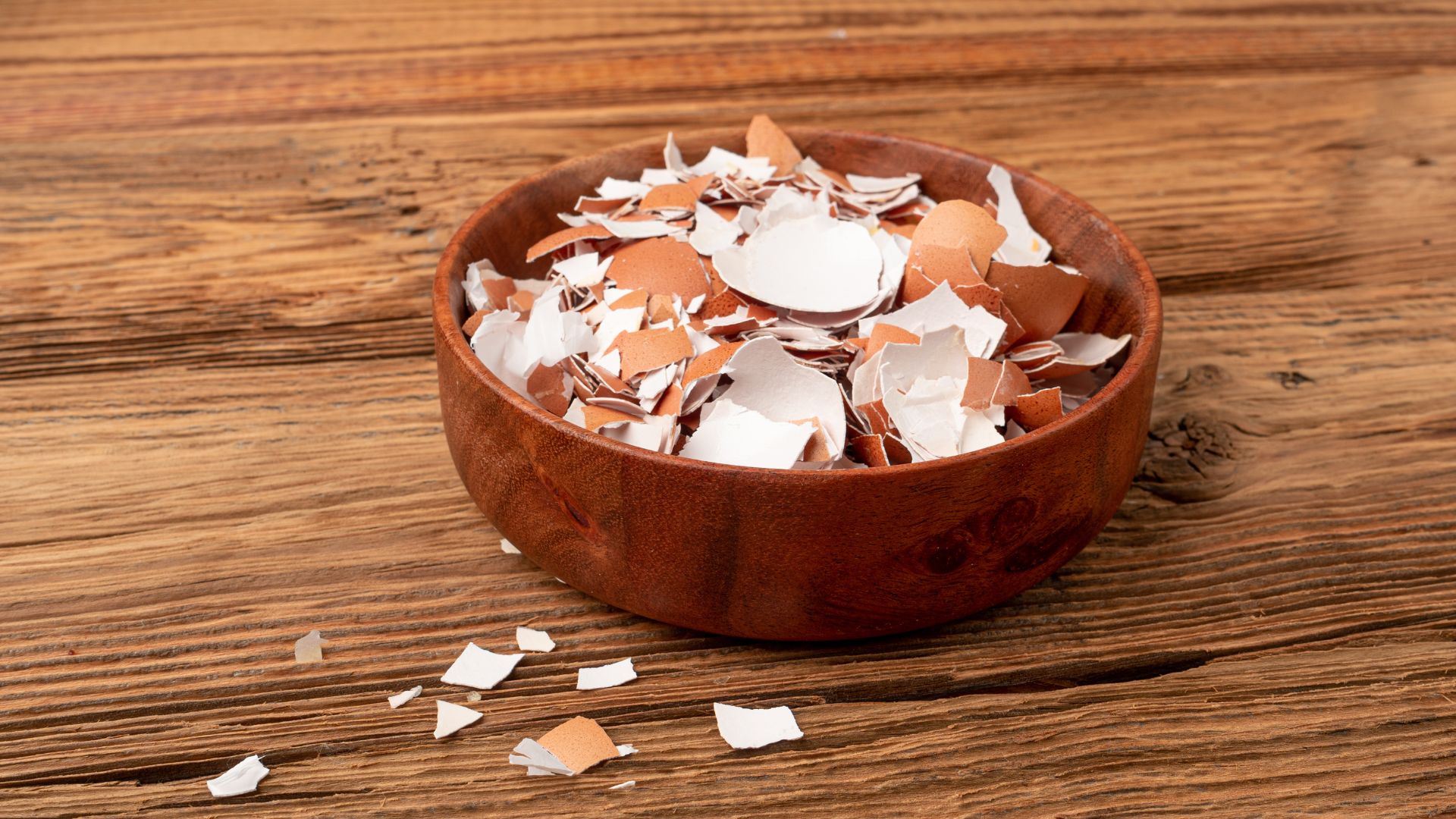 crushed eggshells
