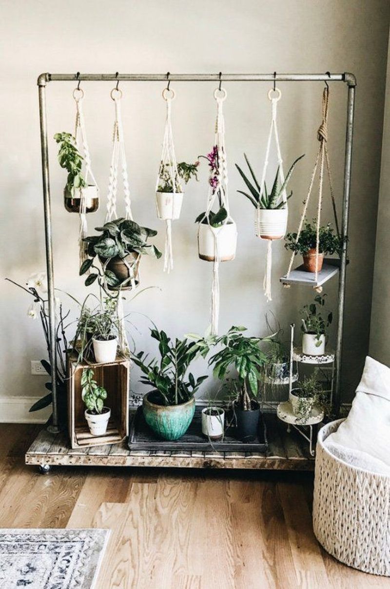 Hanging Macramé Plant Holders