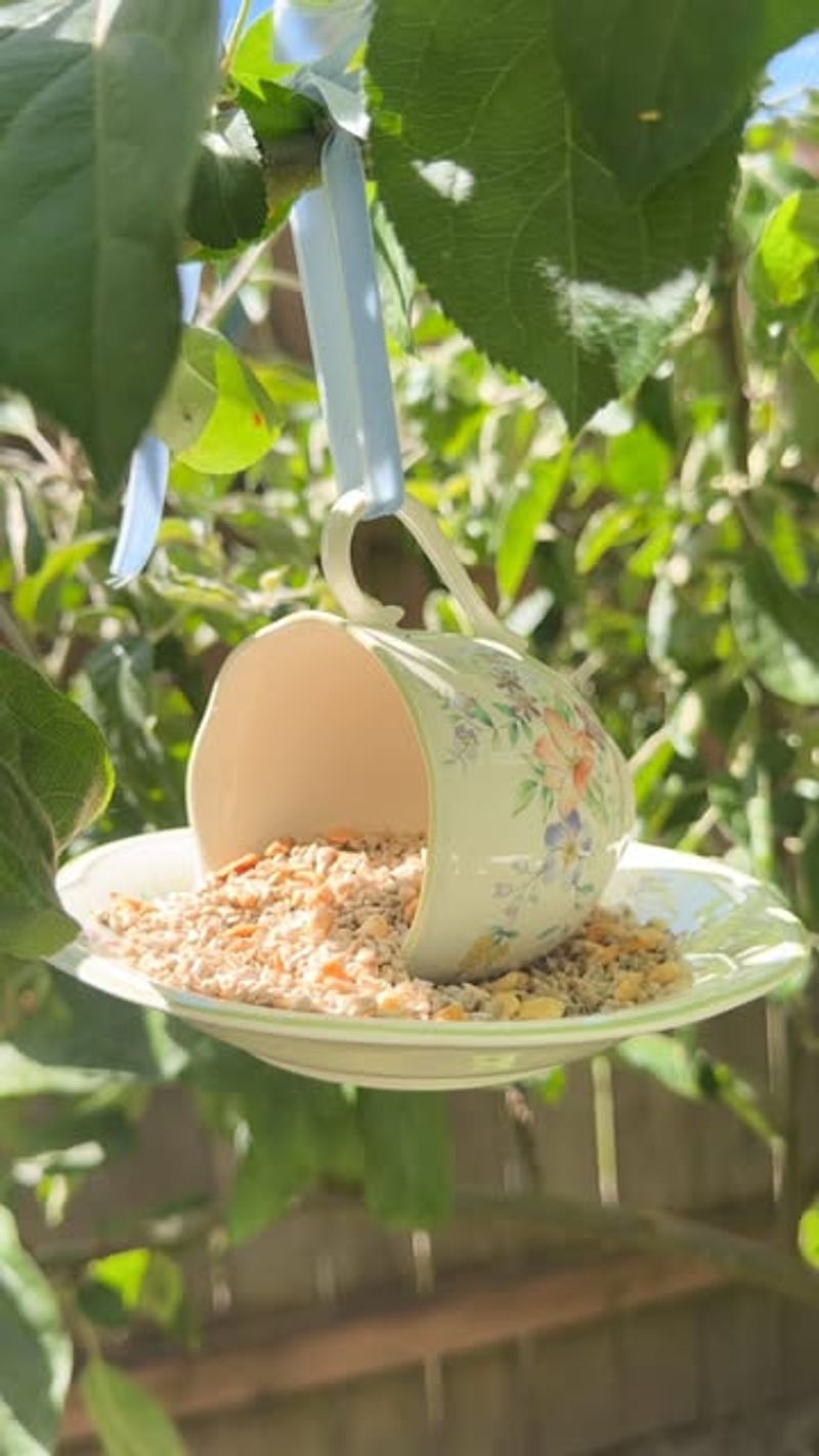 Teacup Bird Feeders