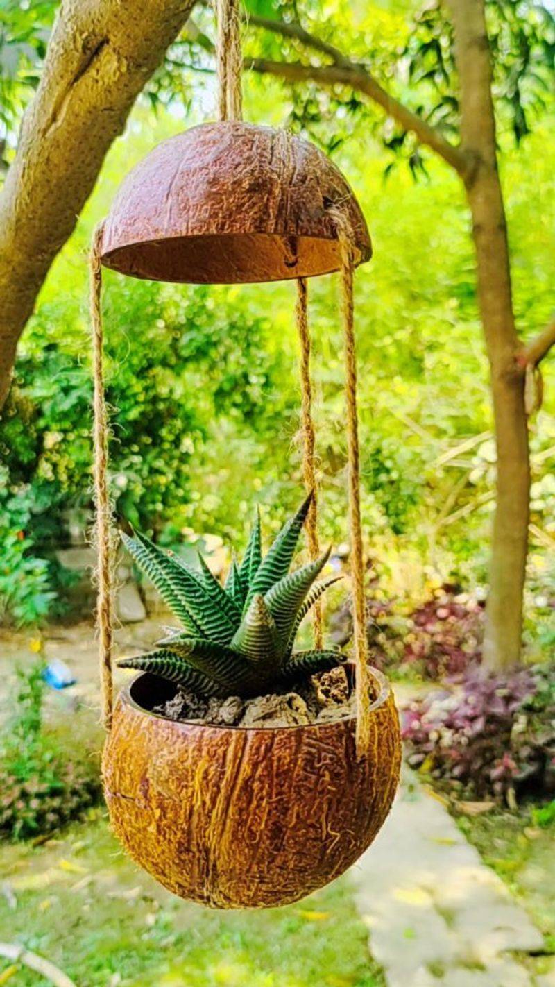 Hanging Coconut Shell Planters