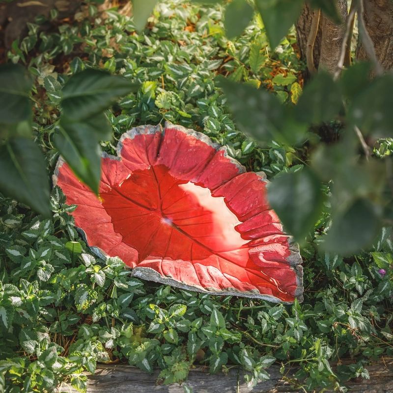 Concrete Leaf Birdbaths