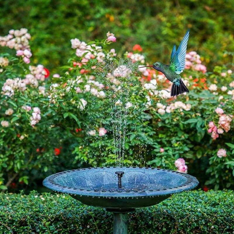 Hummingbird Mister