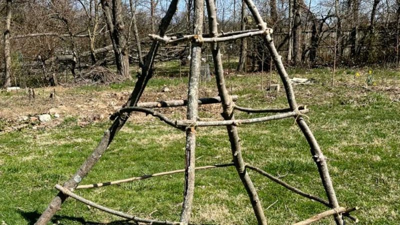 Branch and Twig Obelisks
