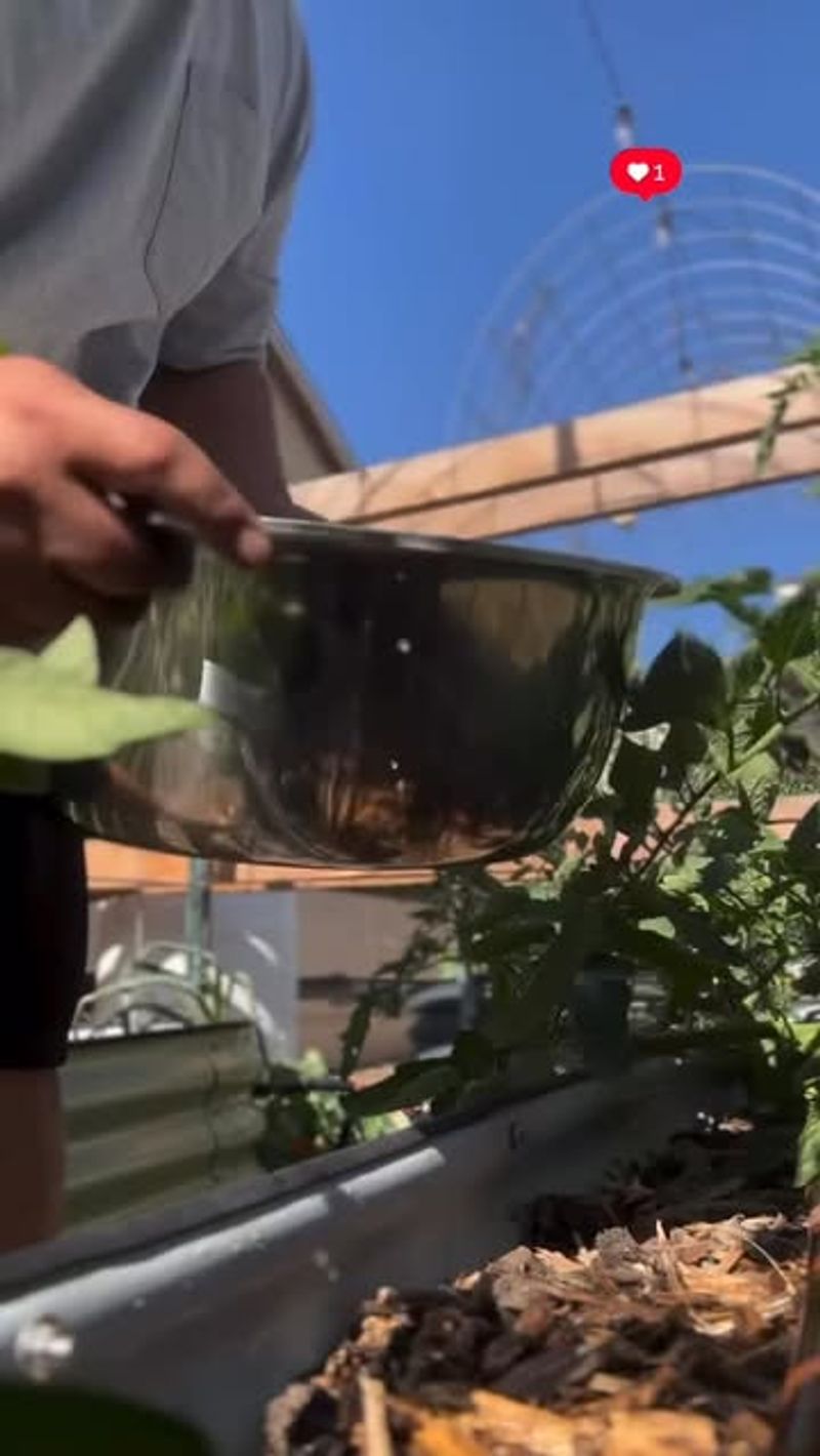 Vegetable Cooking Water