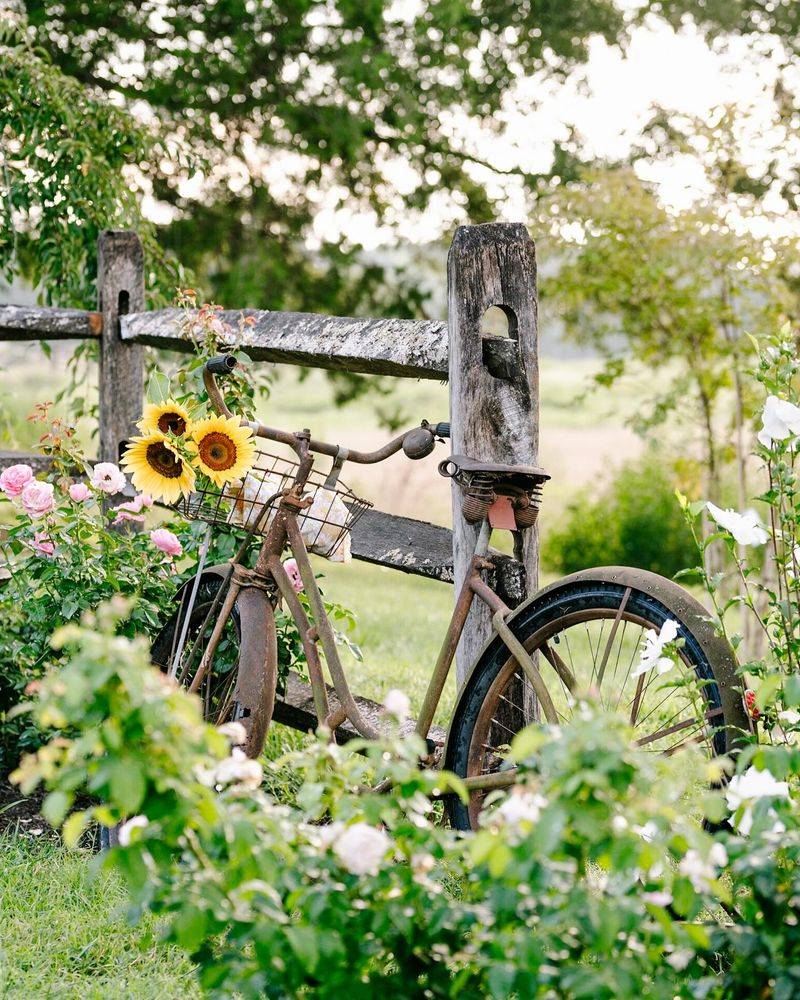 Vintage Bicycles