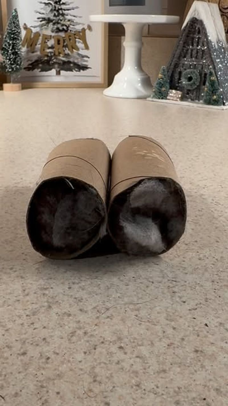 Dryer Lint