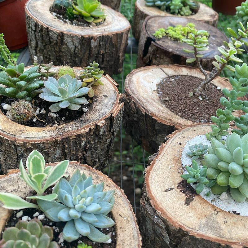 Log Planter