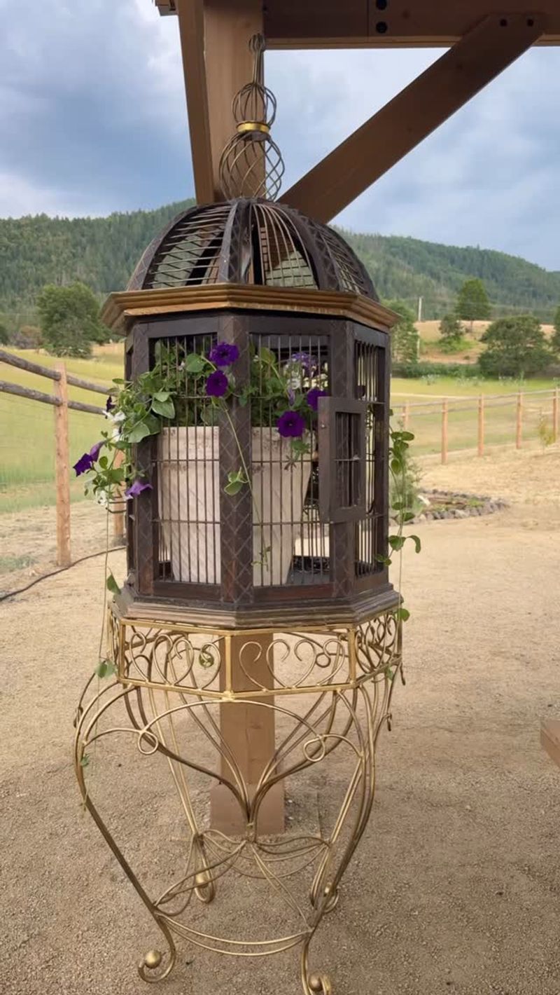Antique Bird Cages