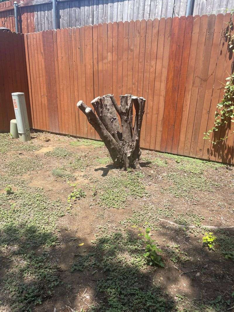 Poor planning for debris disposal