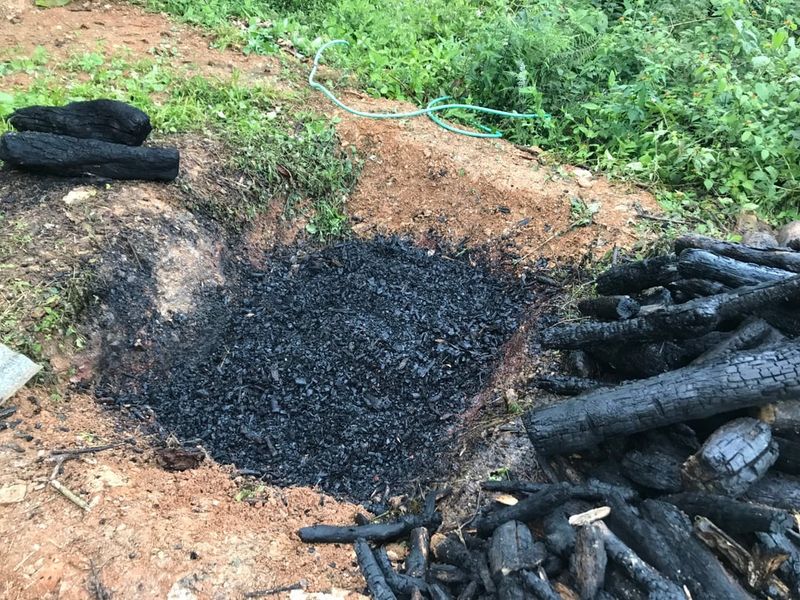 Biochar Amendment