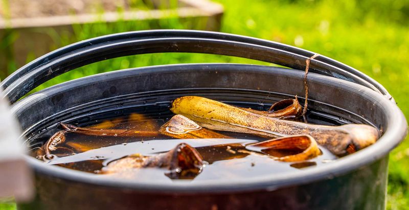 Banana Peel Water