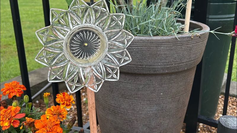 Broken Solar Lights