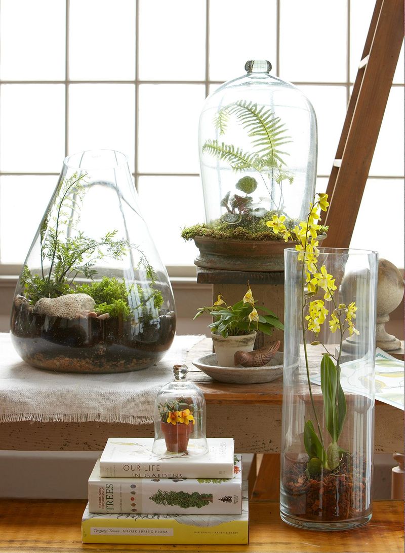 Create A Tabletop Terrarium