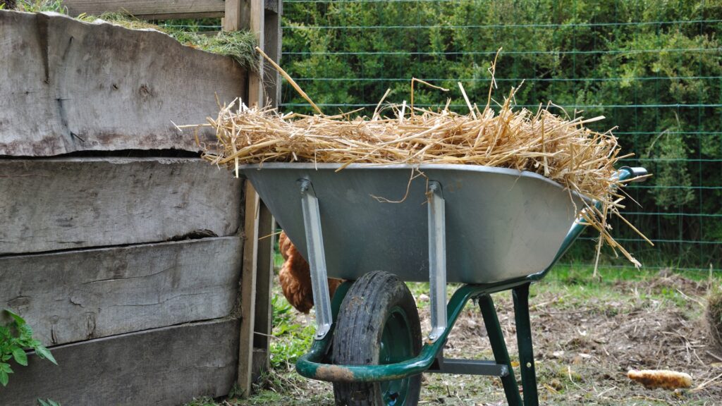 straw mulch in a wheelbarrow