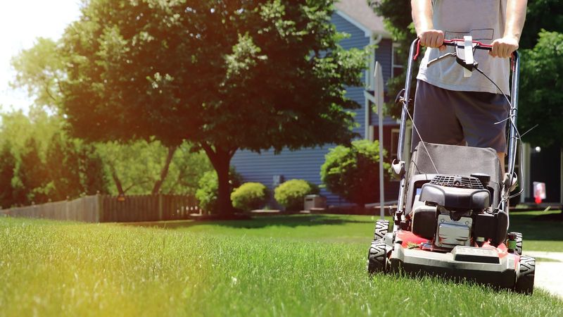 Mowing Too Short