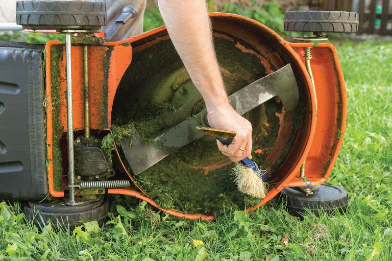 Clean The Deck After Every Use