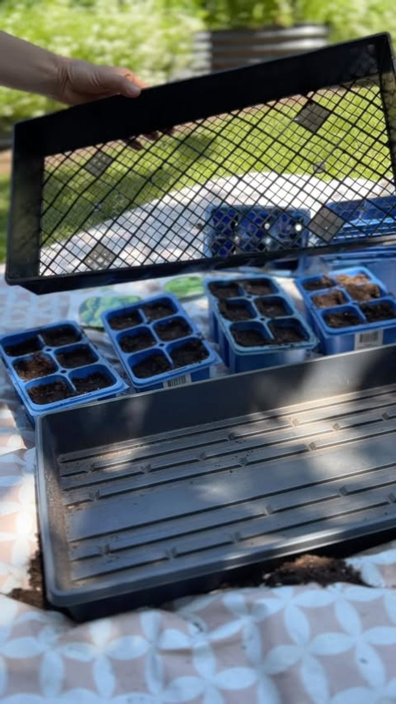 Seed Starting Trays