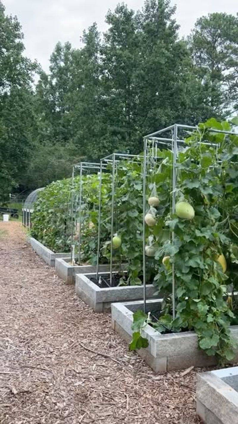 Save Precious Garden Space