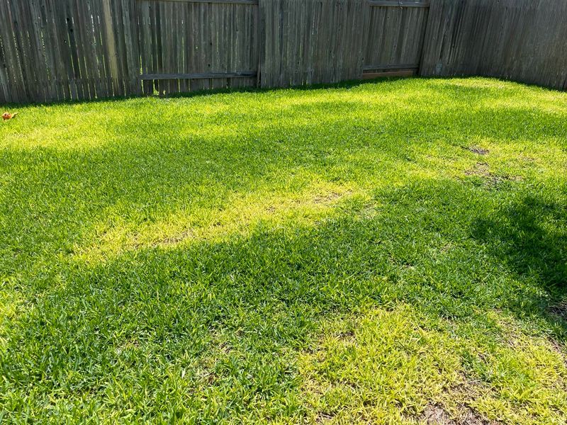Nitrogen-Starved Soil Creates Perfect Conditions
