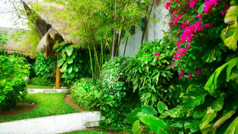 exotic plants in yard