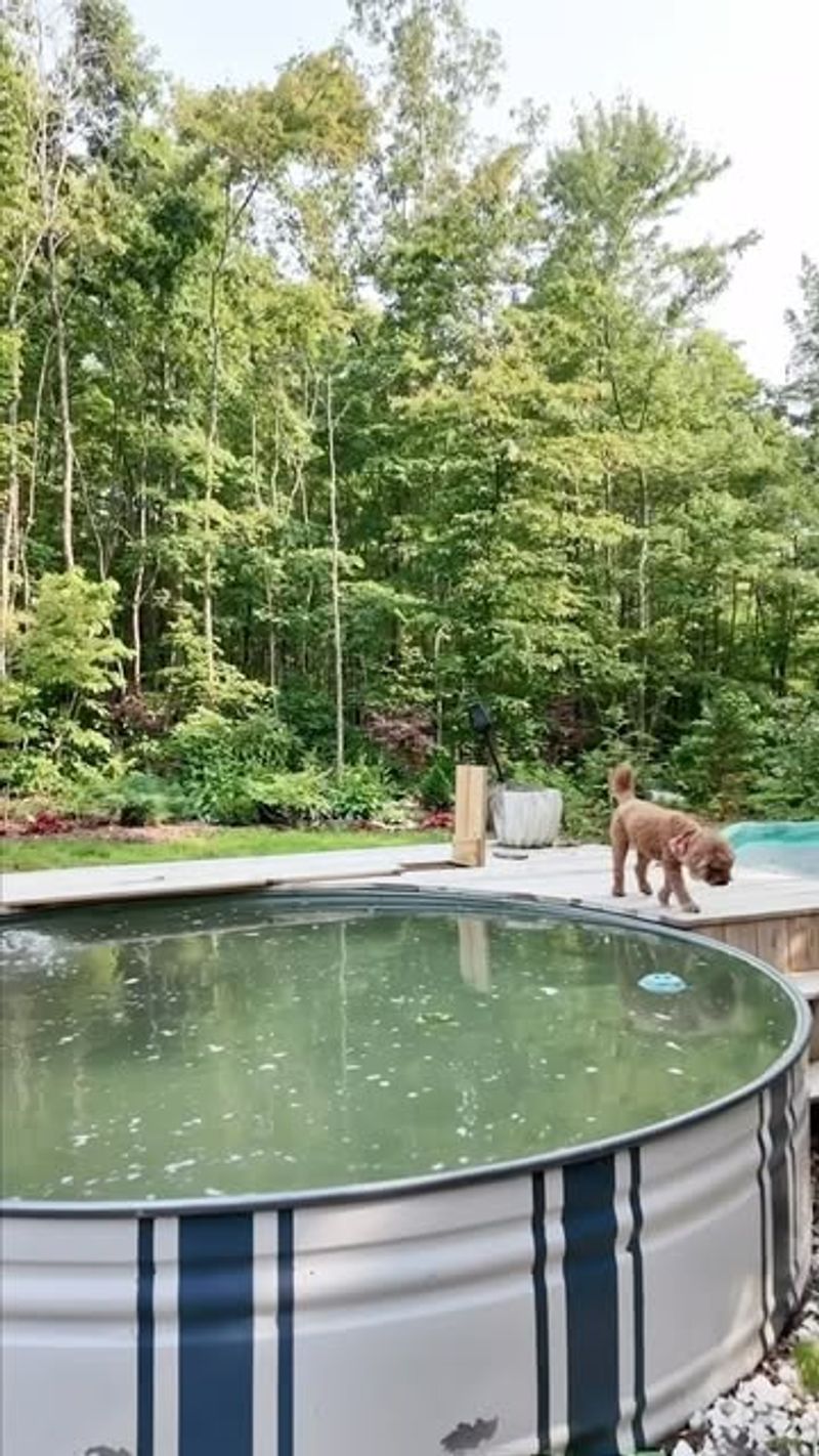 Money-Waster: Elaborate Water Features
