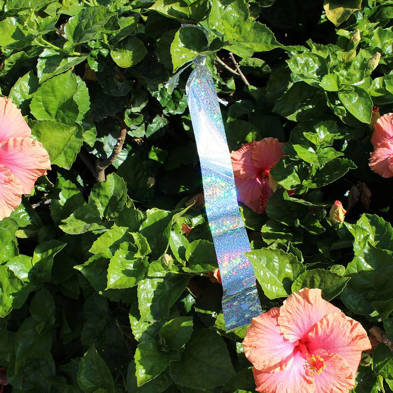 12. Apply Visual Scare Tape